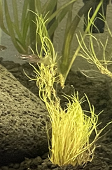 CHELSEA E. review photo