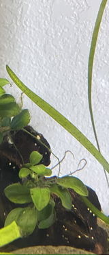 CHELSEA E. review photo