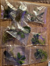 R.S. review photo