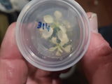 Chad b. review photo