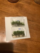 D.S. review photo