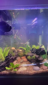 Kaylee P. review photo