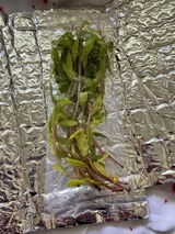 Eric P.(. review photo