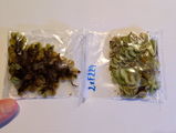 Tim S. review photo