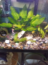 Sheri P. review photo