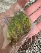 Kristy B. review photo