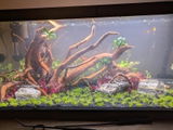 Steven K. review photo