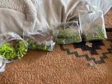 Laura A. review photo