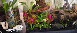Linda R. review photo