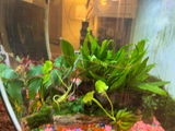 Rhiannon’s review photo