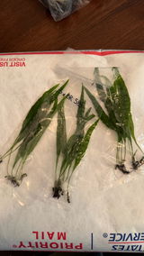 Trisha M. review photo