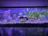 Nella review photo