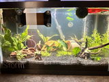 Juanita review photo