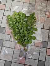 Tatum review photo