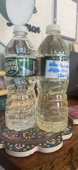 Spicybrainsgirl review photo