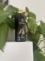 GABRIEL review photo