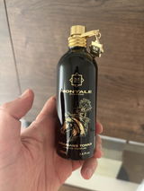 GABRIEL review photo
