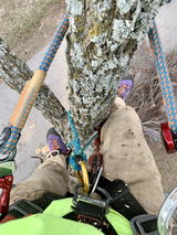 Briar Brixey review photo
