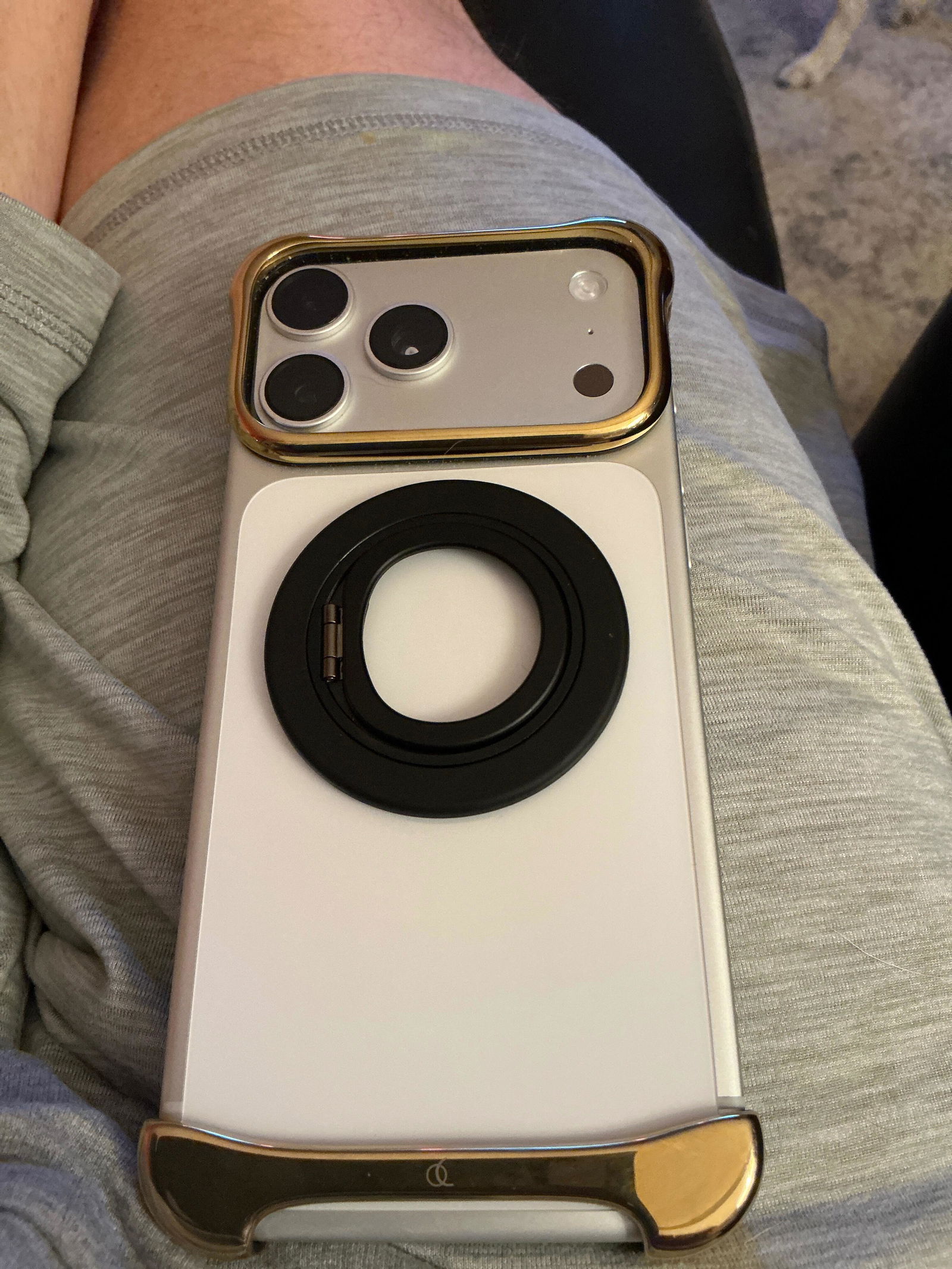 Arc Pulse x Lisa for iPhone 15 Pro Max