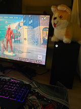 User picture