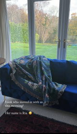 Denise Brims review photo