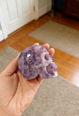 KT Rex review photo
