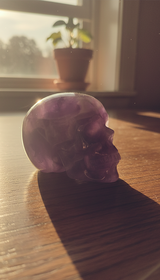 Cierra review photo
