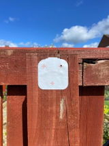 MasterSparky review photo