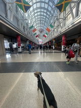 Brett Casaccio review photo