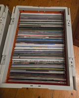 Gradey L. review photo