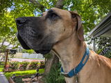 Sue Seiver review photo