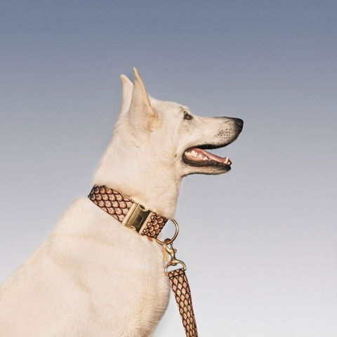 Mocha Mousse Monte Carlo Statement Lead