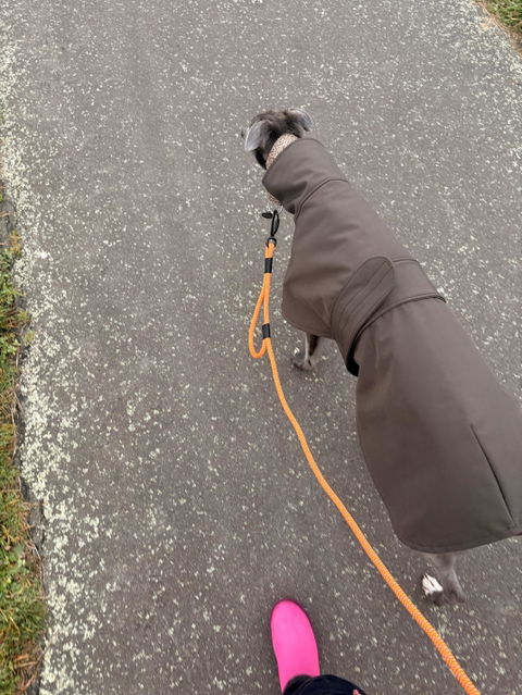 Hawea Rope Dog Leash with Traffic Handle