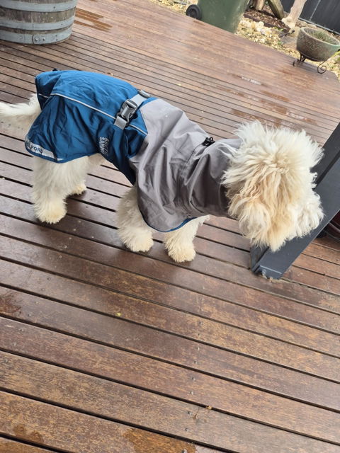 Dog Raincoat Milford