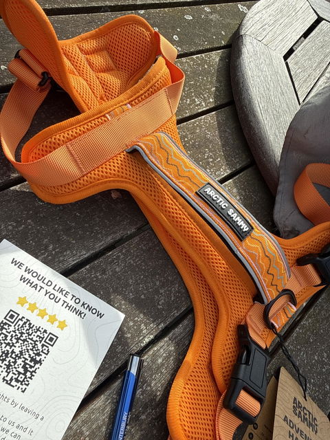 Arctic Sammy Adventure Dog Harness - Orange