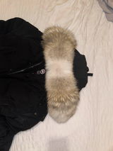 Apple User review photo