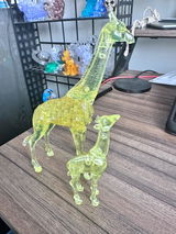 Gary l review photo