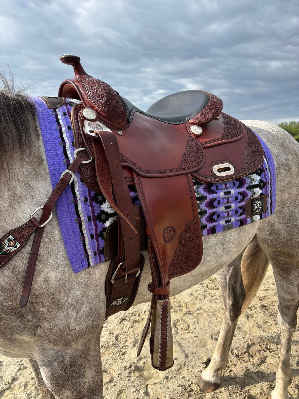 2in1 Show | contoured western pad | Wild Lavender -SOLD OUT
