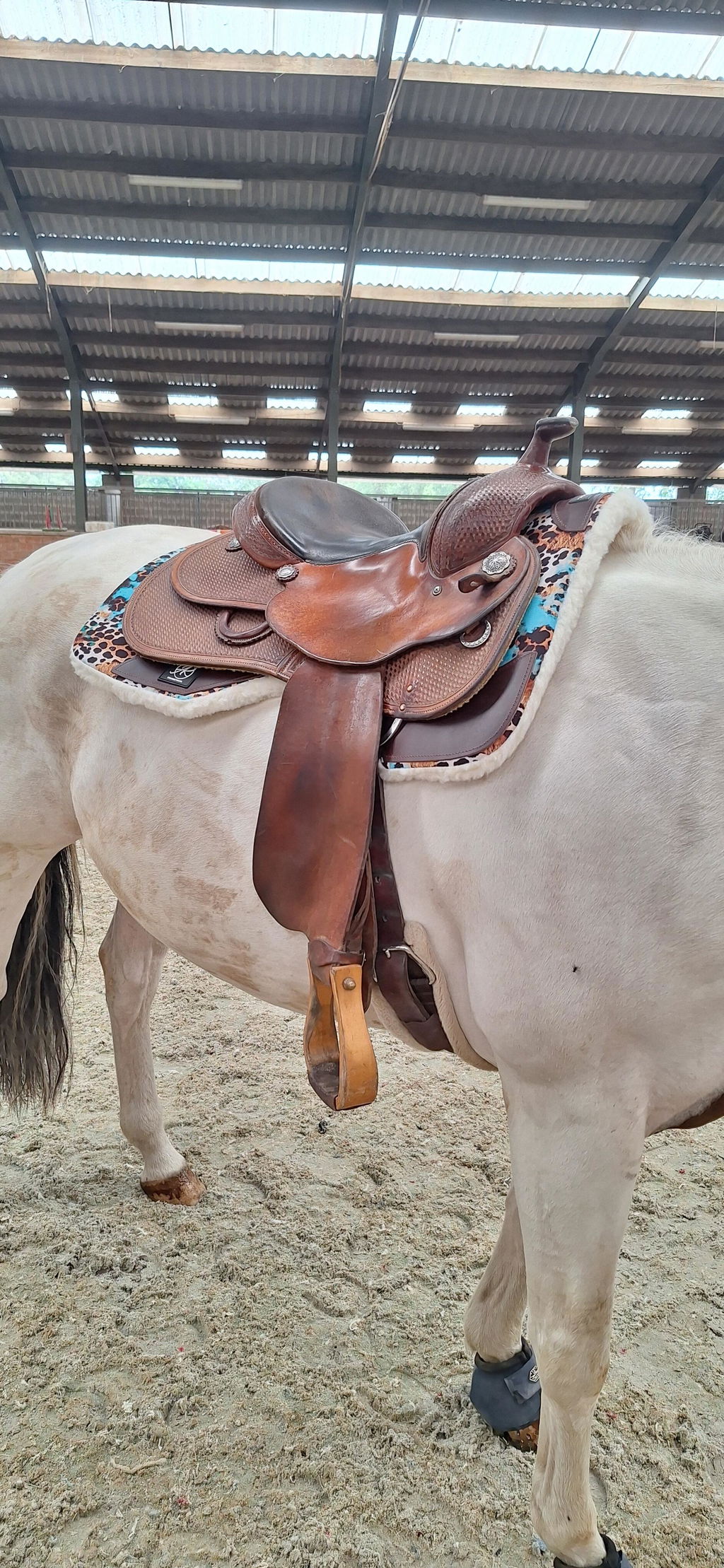 Canvas Western WorkPad | Close Contact | Turquoise Cheeta | Dark Leather