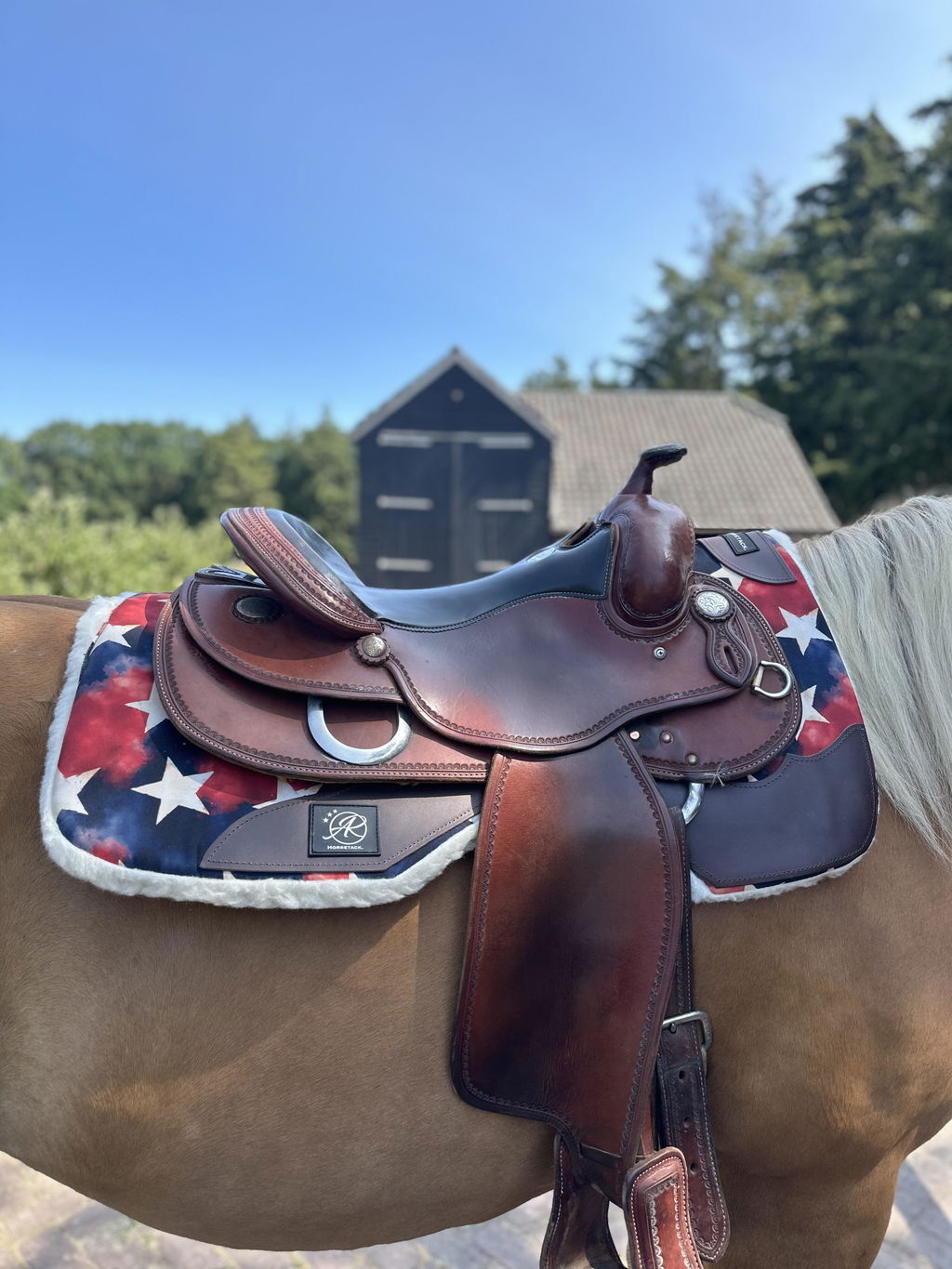 Canvas Western WorkPad | Close Contact | Stars | Dark Leather