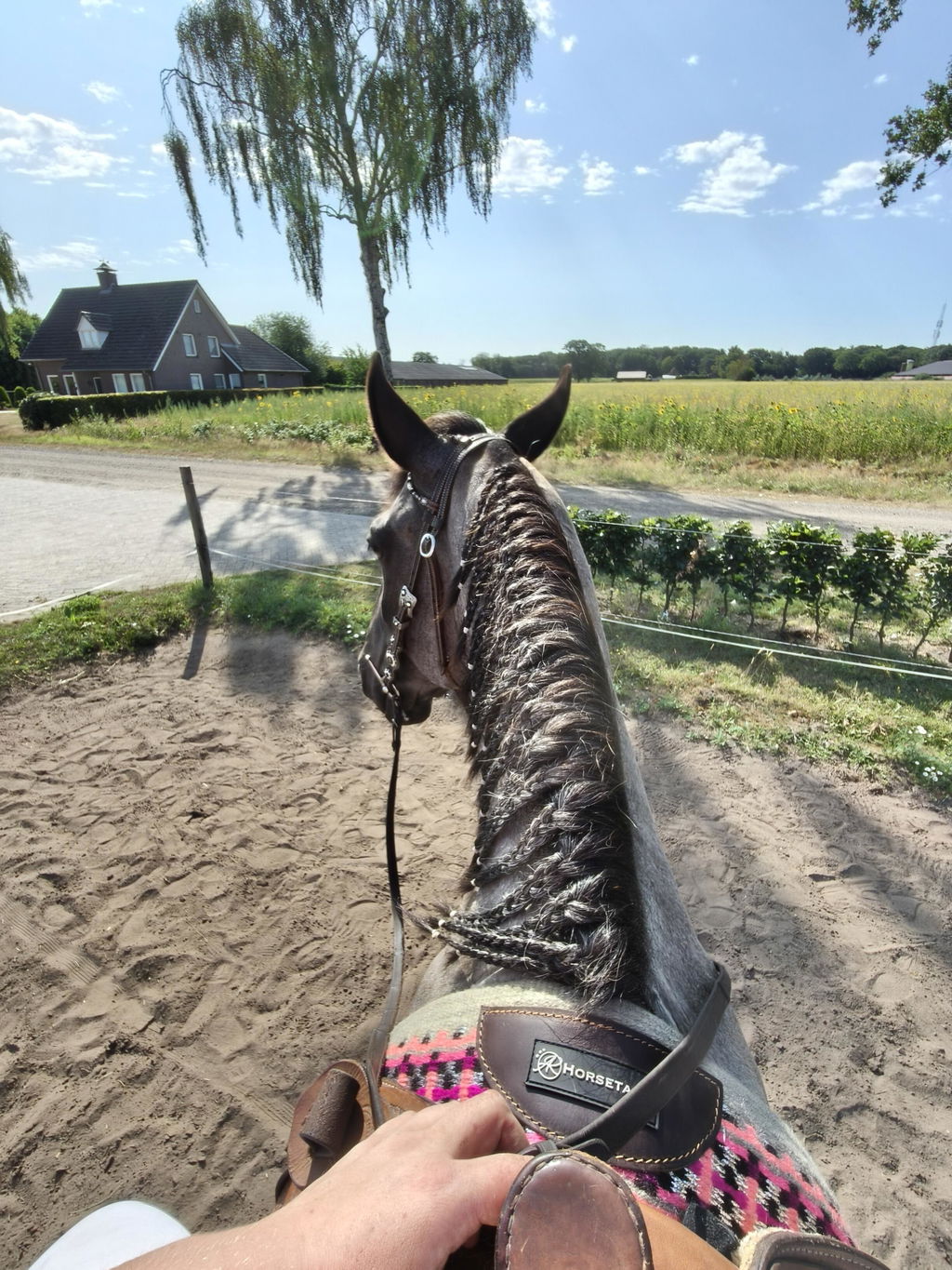 2in1 Show | Performance Western Pad | Silverado Fuchsia -SOLD OUT