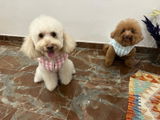 Abrigo vichy rosa con anilla