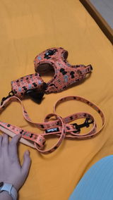 Correa Estampada Caniche