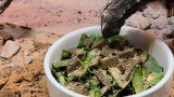 The Bearded Herper review photo