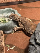 Gretchen Wright review photo