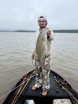 Dalton Reel review photo
