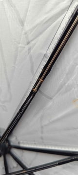 Daniel Severino review photo
