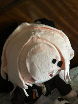Yume review photo