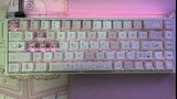 C.S. review photo