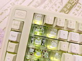 A.K. review photo